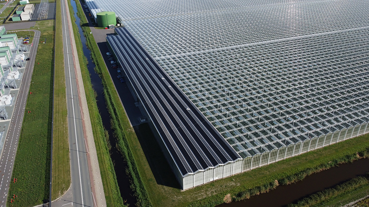 Zonnepanelen project 1